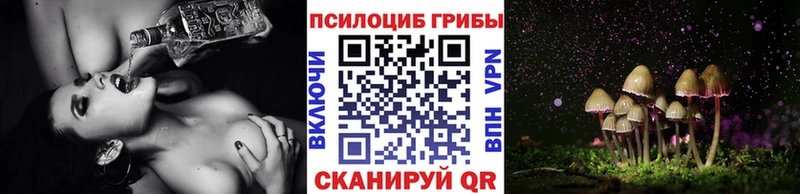 купить наркоту  Закаменск  Галлюциногенные грибы GOLDEN TEACHER 